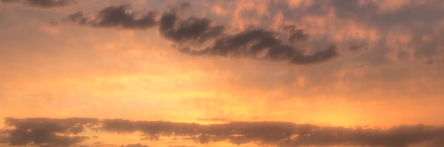 Sabrina S banner