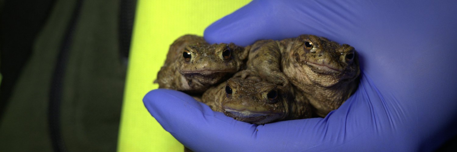 Department of Zoology banner