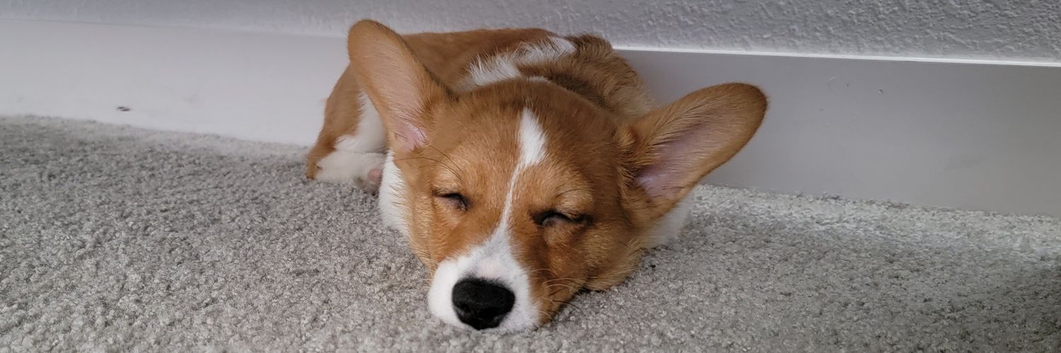 k_coop4's profile banner image
