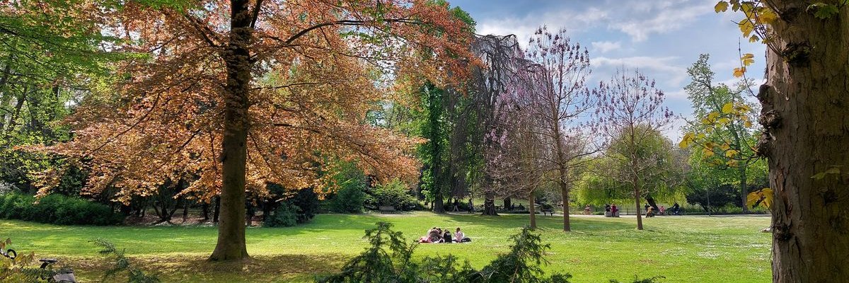 Sharedspace's profile banner image