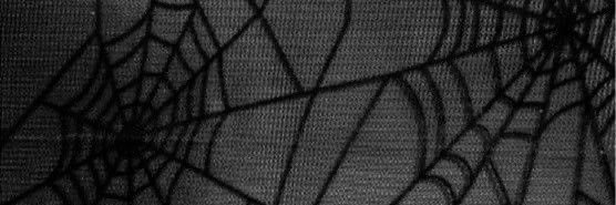KATEER0SE's profile banner image