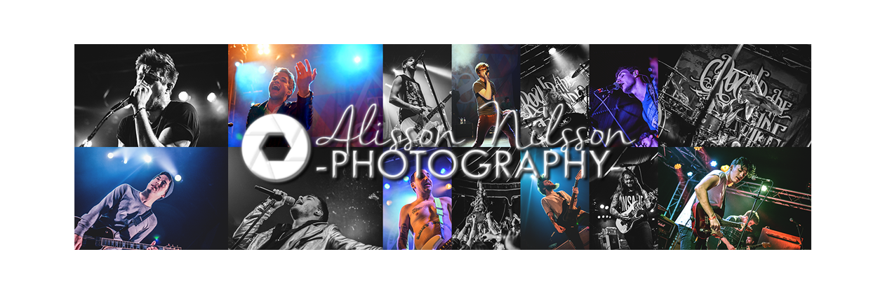 Alisson Nilsson banner