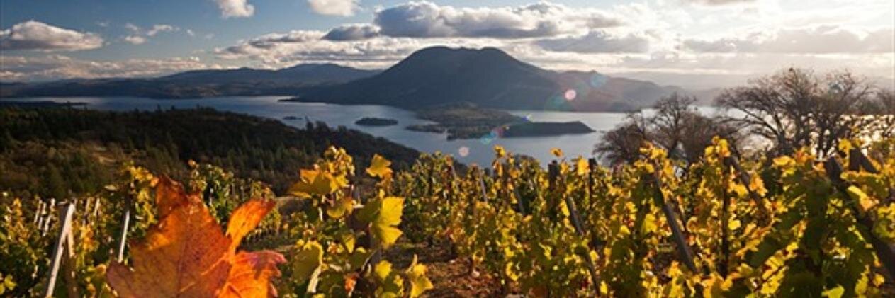 brassfieldwine's profile banner image