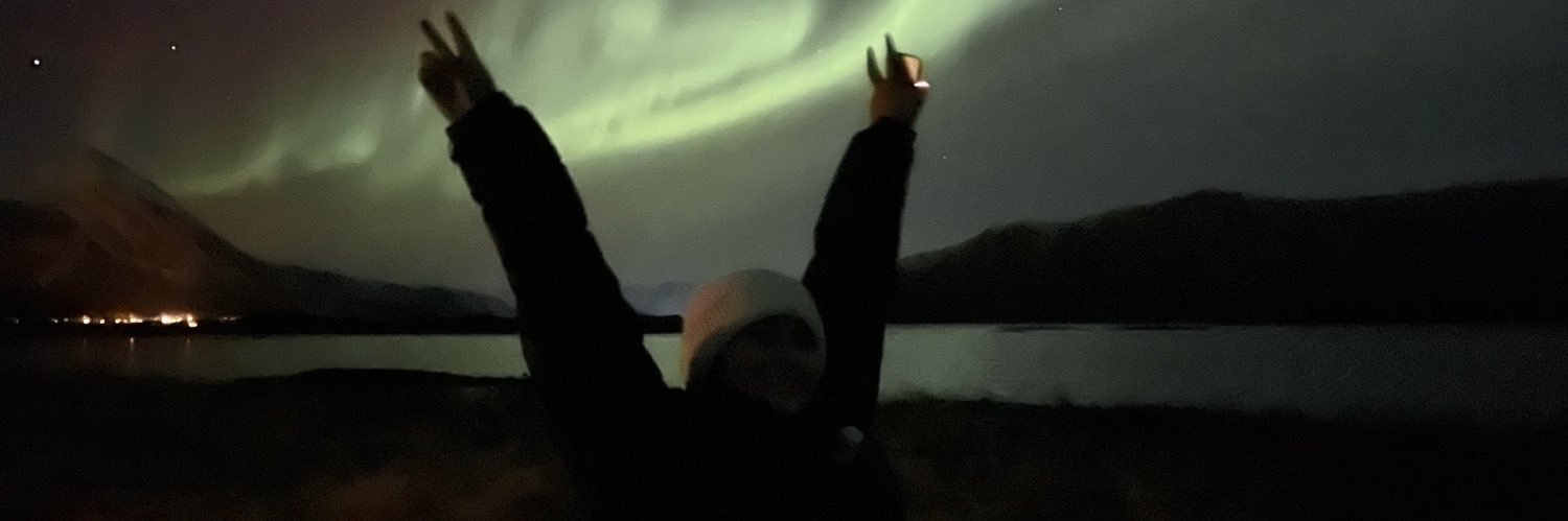 melsolism's profile banner image