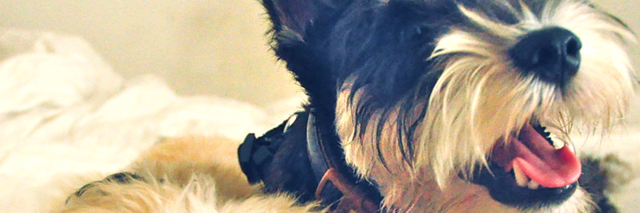 Katibeness's profile banner image