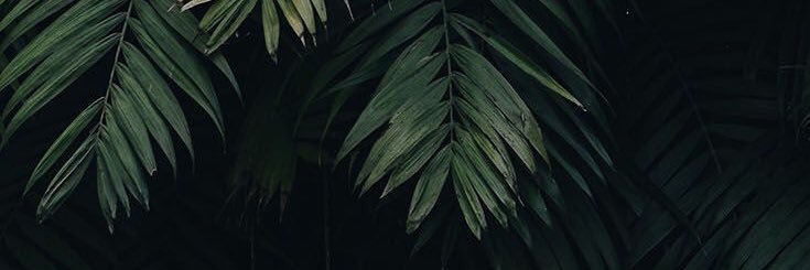eusebiuskendy's profile banner image