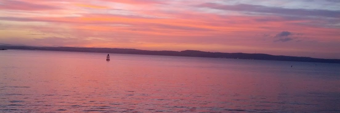 Flavia Weisghizzi 🇪🇺🏳️‍🌈 banner