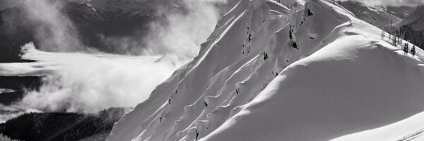 DzikPhoto Profile Banner