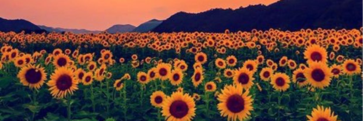 CaptainMorg100's profile banner image
