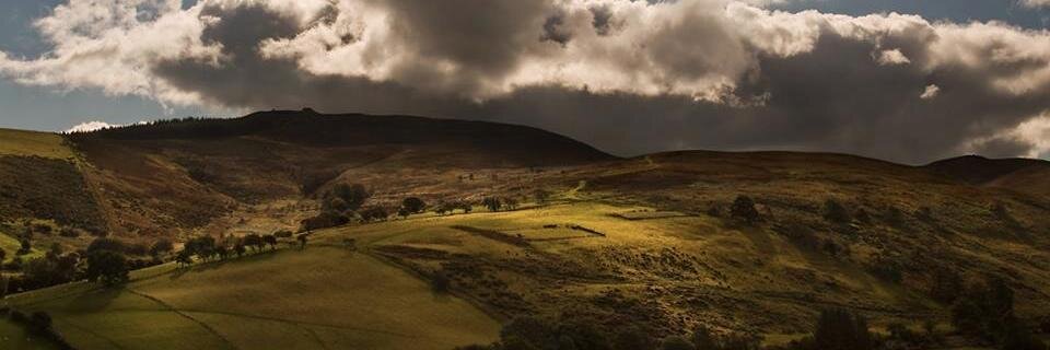 Vale of Clwyd CAMRA banner