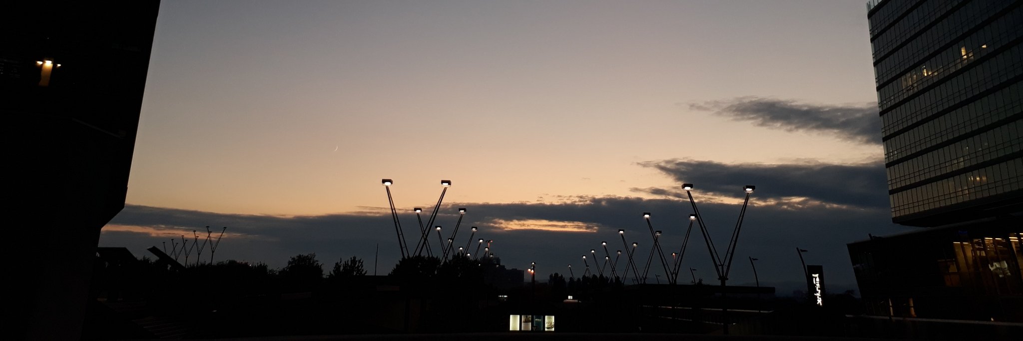 molivoscelis's profile banner image