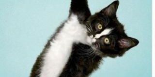angiehm3's profile banner image