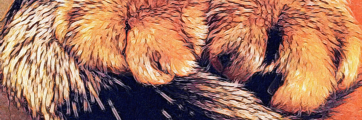cheetohcat's profile banner image