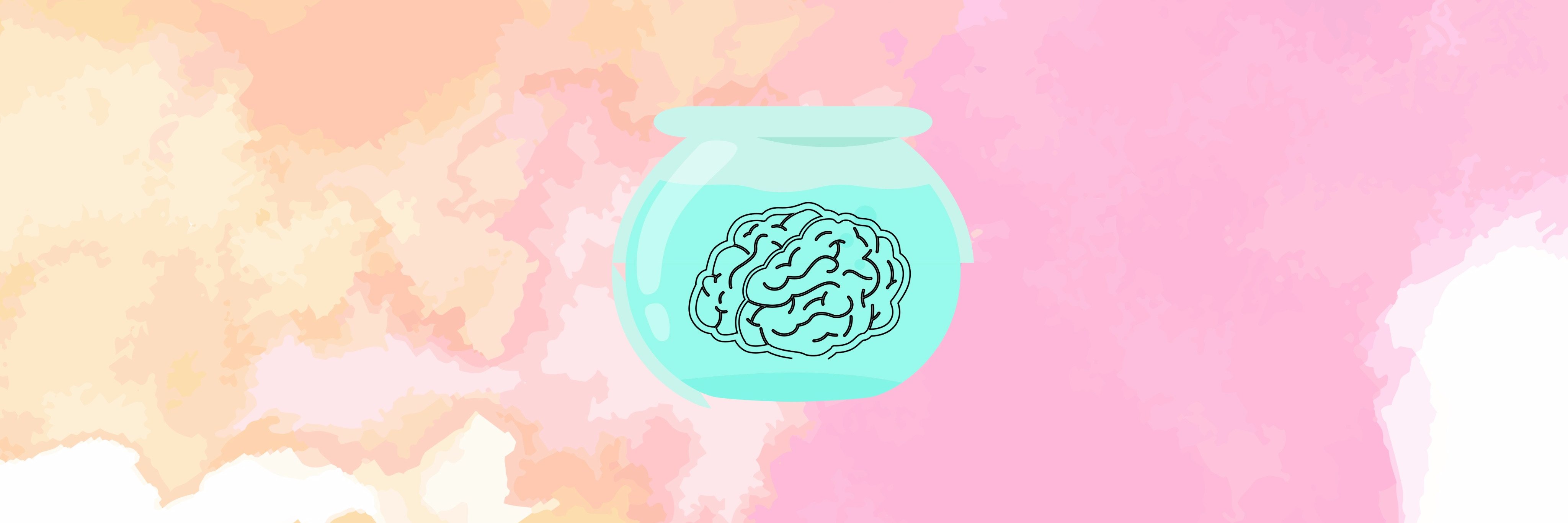 PinarCuruk's profile banner image