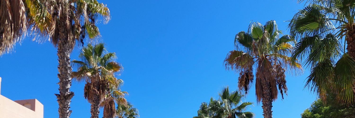 UKnowRui's profile banner image