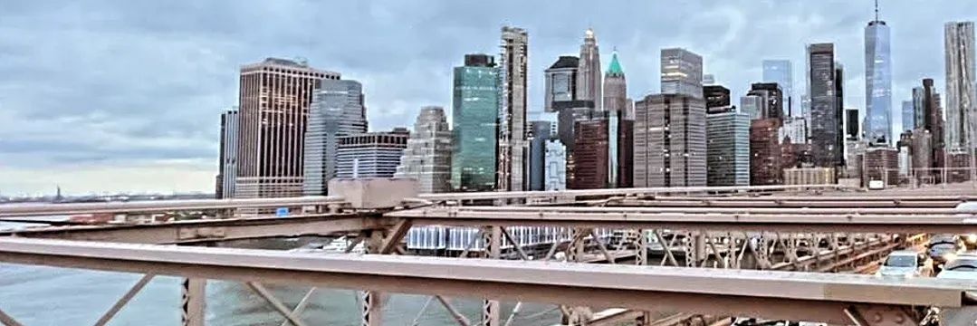 Dalí Salv ❤️ banner