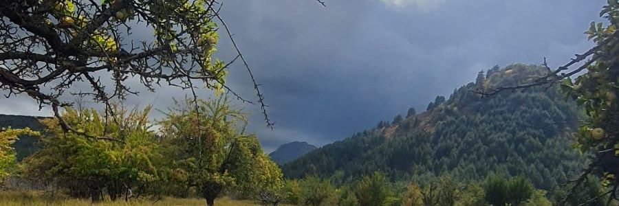 burozmen's profile banner image