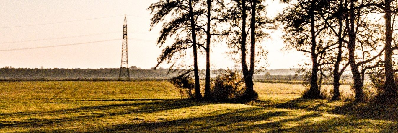 NeuerUser1st's profile banner image