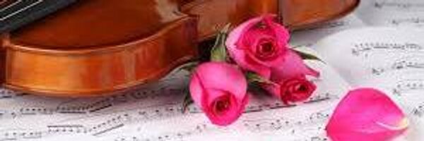 viudaR0SA Profile Banner