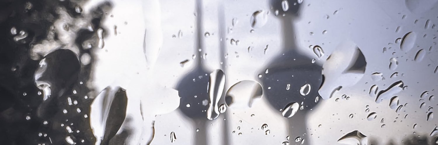 بدور الربيعة banner