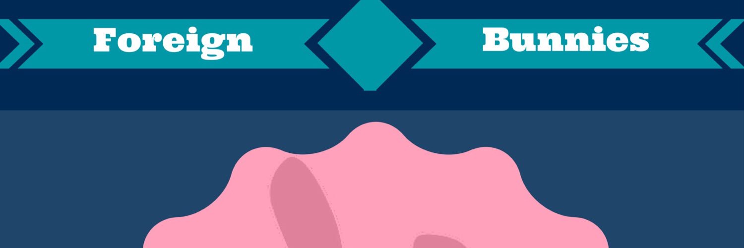 foreignbunnies's profile banner image