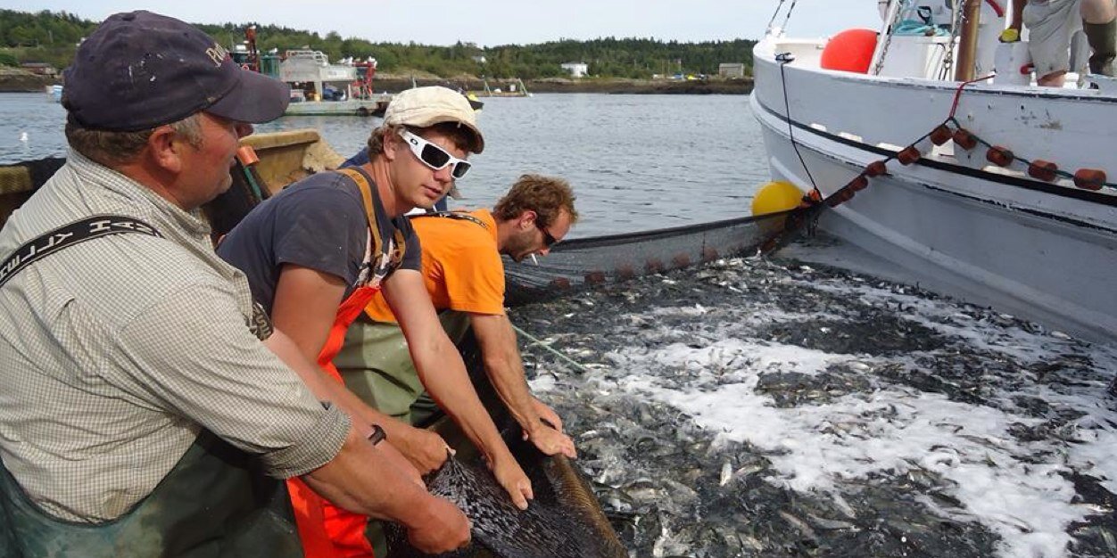 FundyNorthFishermen banner