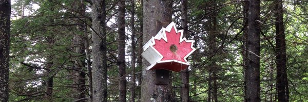 jay9mac Profile Banner