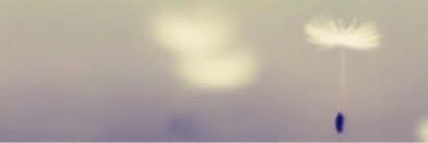 chiaranodi's profile banner image