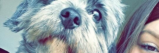 RachelDeBie's profile banner image