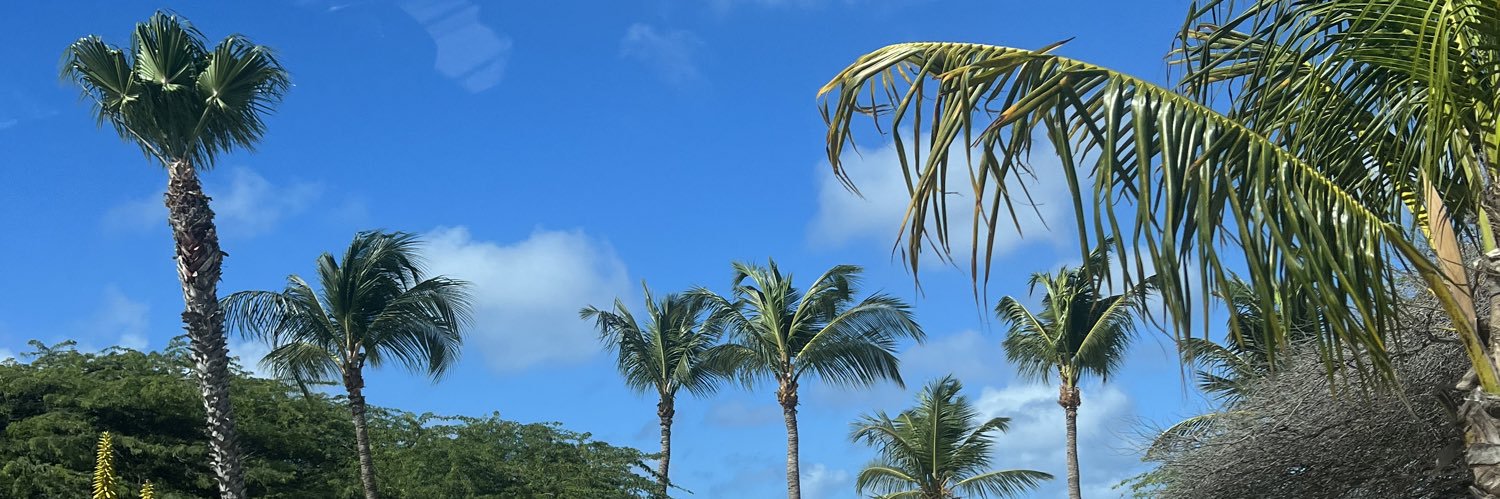 onlyonelelandra's profile banner image