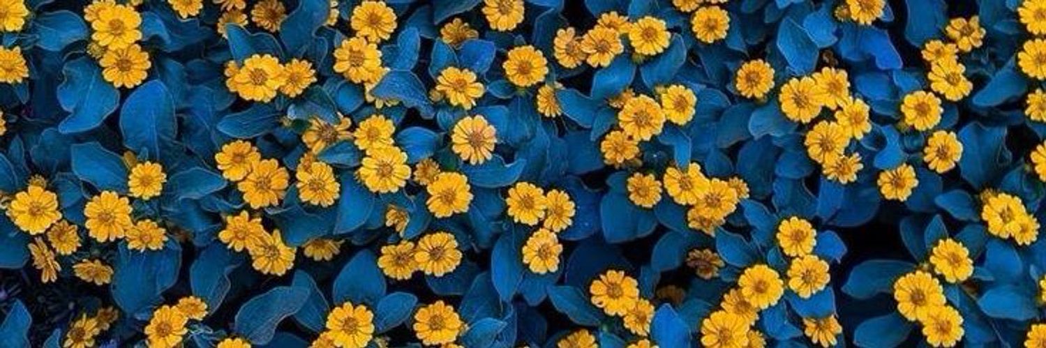 _ireeperino's profile banner image