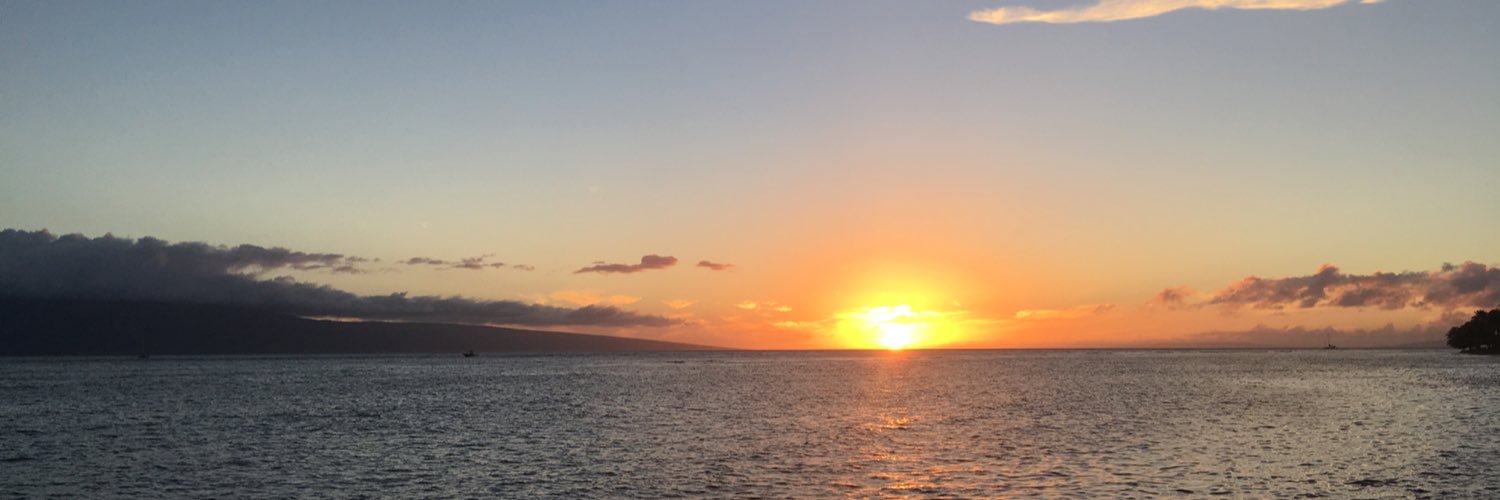 LaurieKenealy's profile banner image