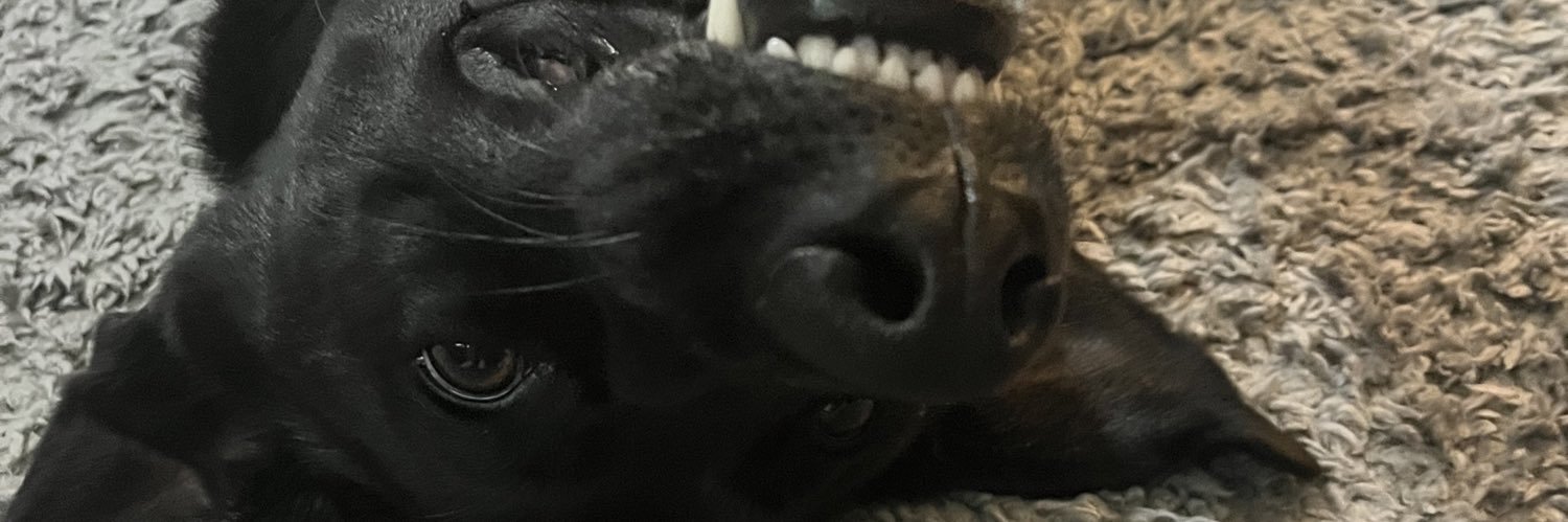RealBridgemouse's profile banner image