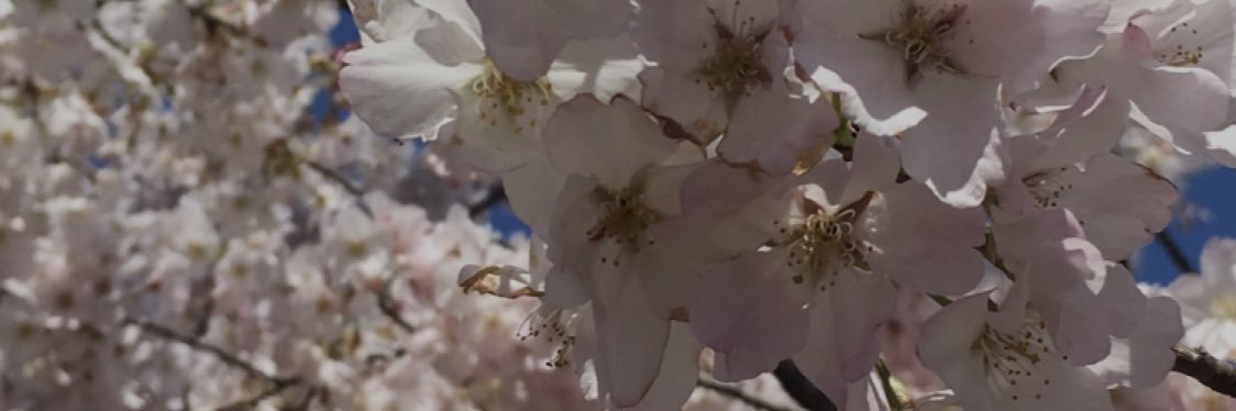 Katelyn__1's profile banner image