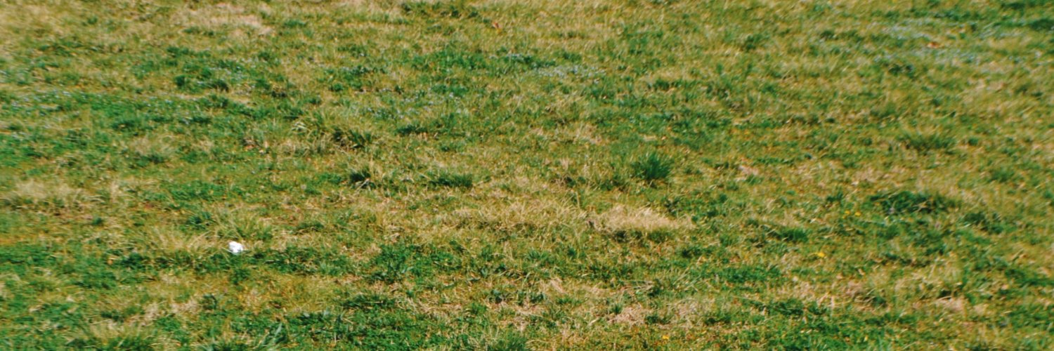 MiddleNameTJ's profile banner image