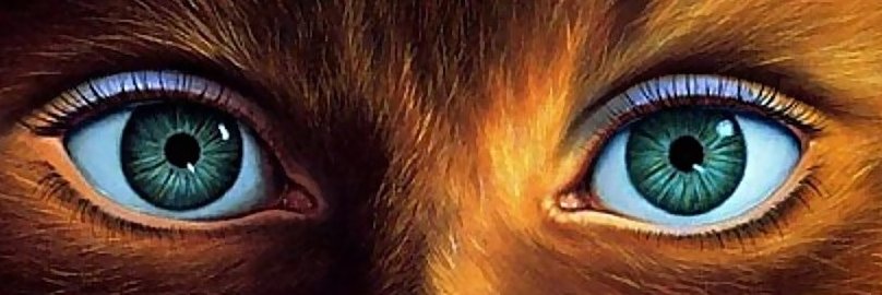 MackieMajcher's profile banner image