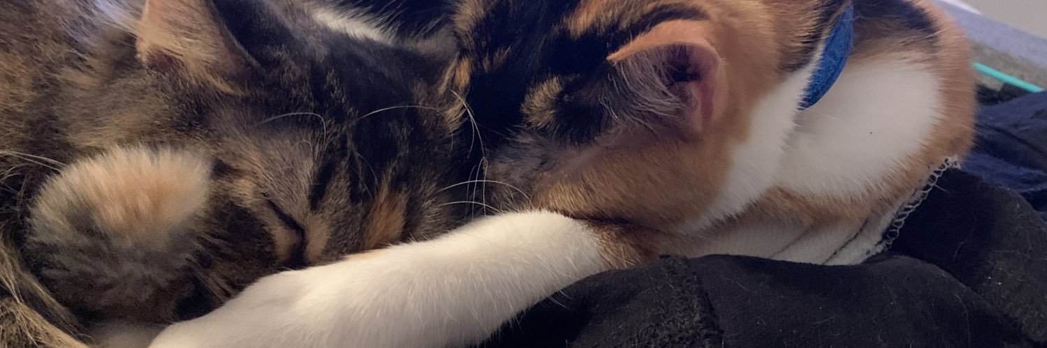 Mysticallyty's profile banner image