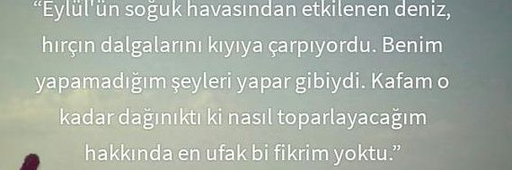 gulseventurkmin's profile banner image