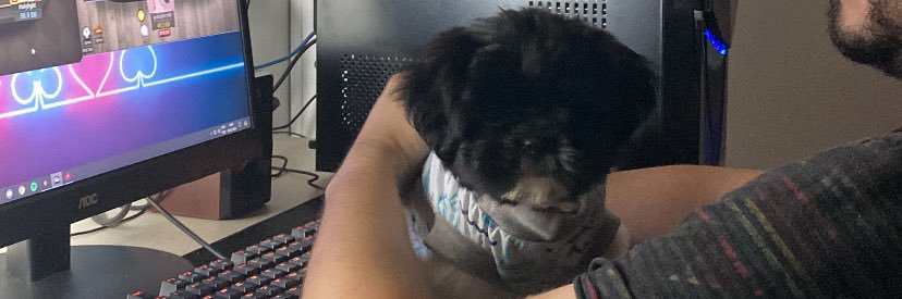 stefflertada's profile banner image