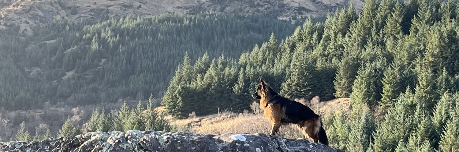 bradlay_nelson's profile banner image