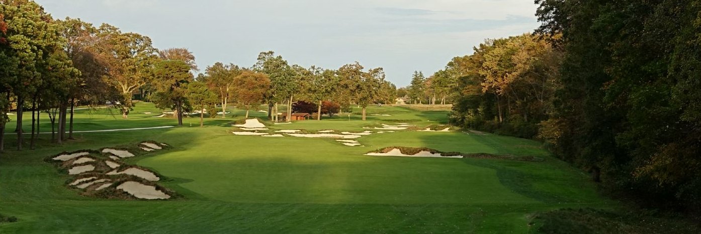 Todd Saganiec banner