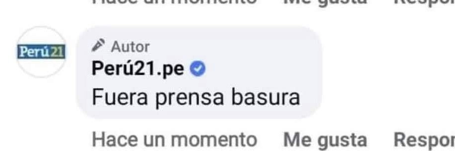 papitarosada's profile banner image