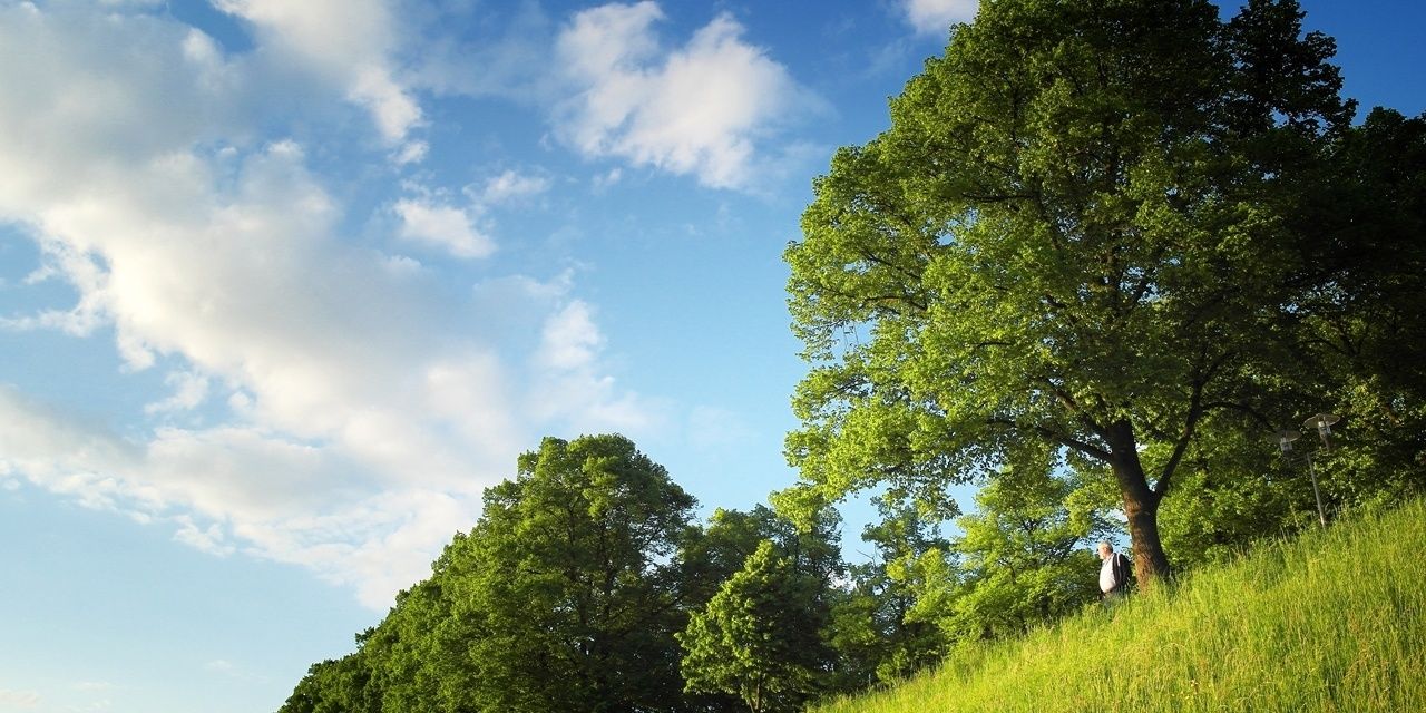 N11j15's profile banner image