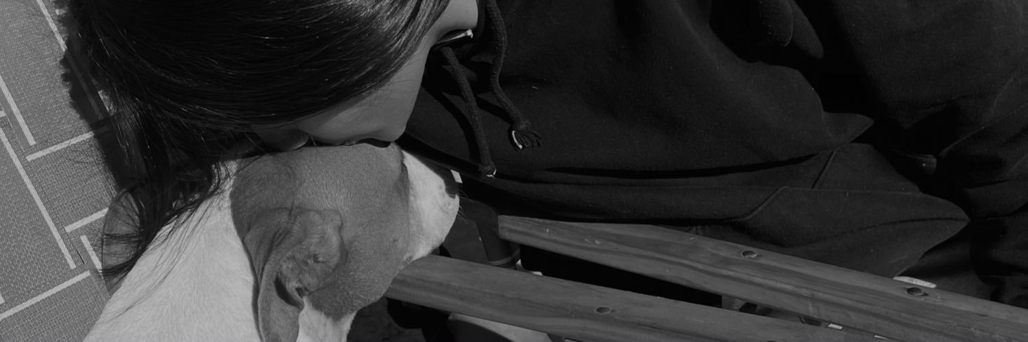 __noeliag's profile banner image
