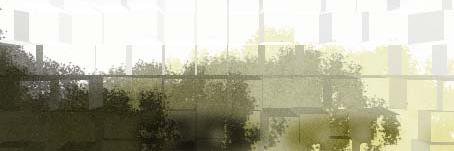 WildSTiL's profile banner image