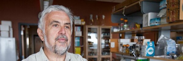 TimDonohue1283 Profile Banner