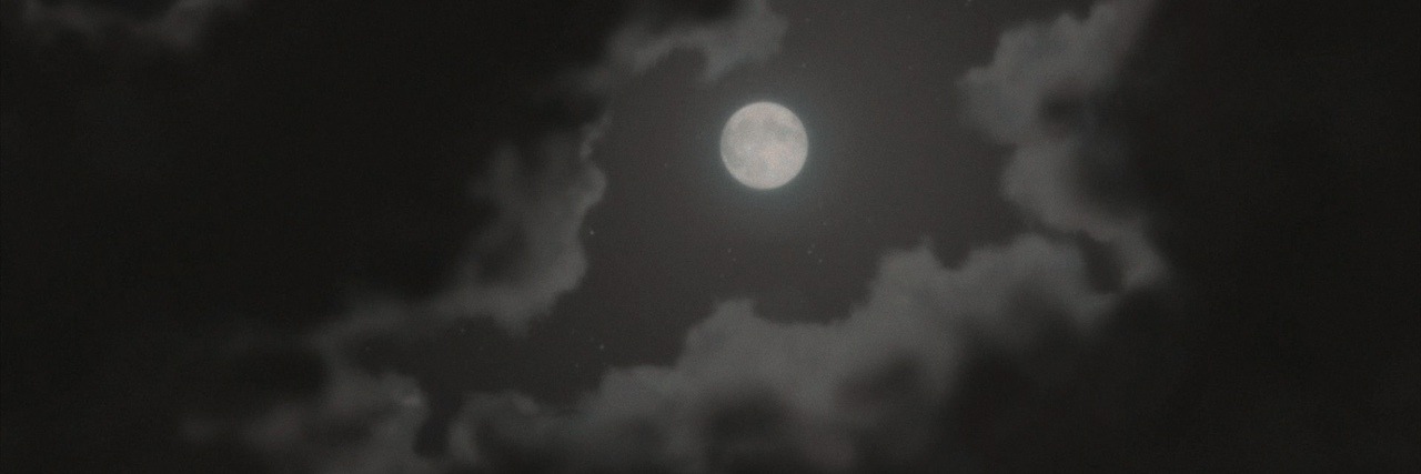 softlongings's profile banner image