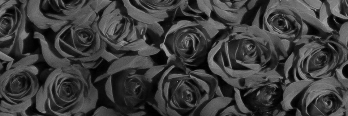 riahh_baee's profile banner image