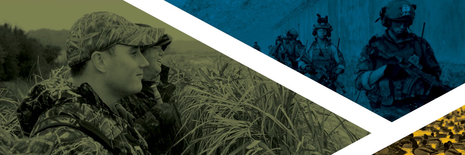 DWS banner