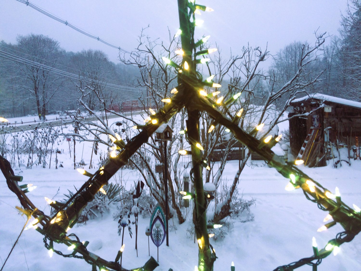 donnazolnoski banner